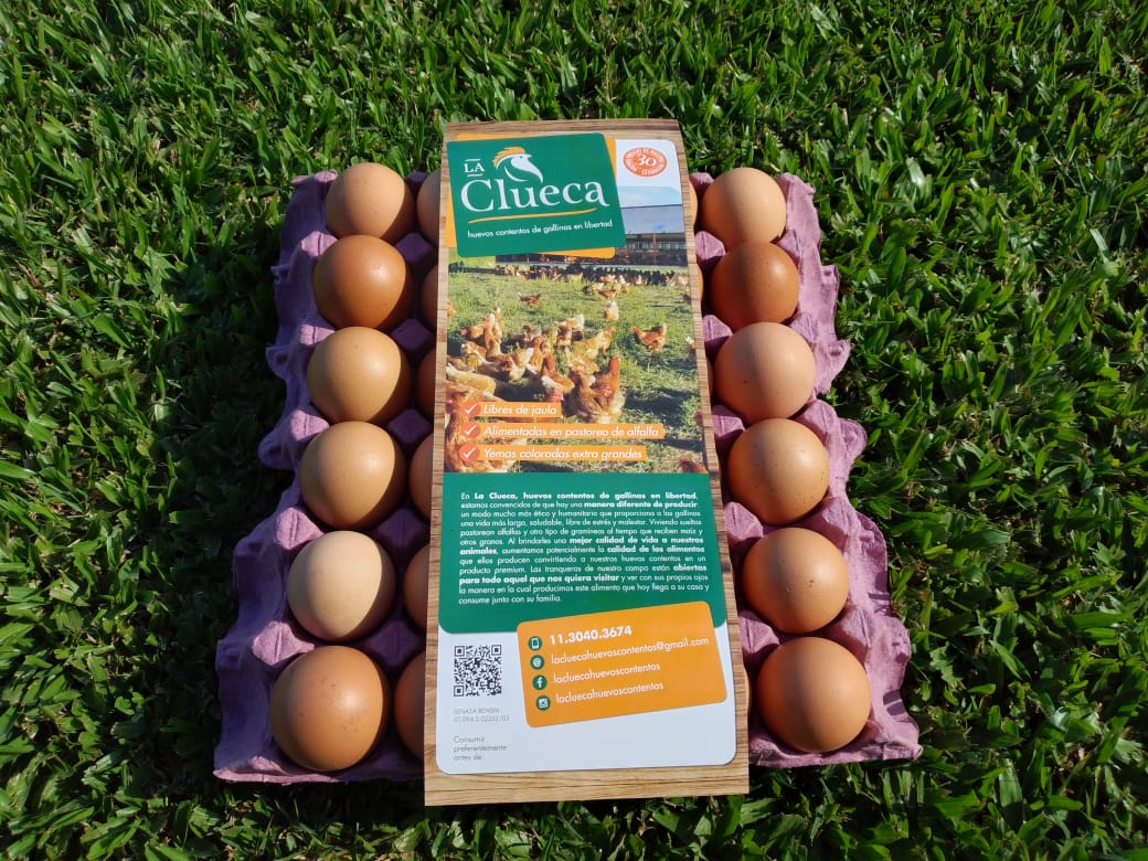 Maple de huevos La clueca